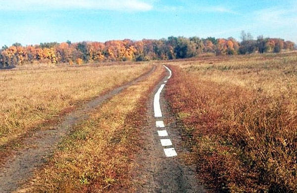 22. Где-то под Воронежем. Наверняка за кустами притаились ДПС-ники, чтобы оштрафовать за пересечение сплошной