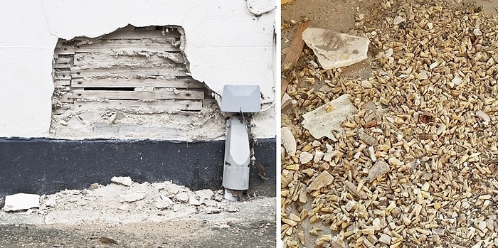 Во время реставрации здания в США из стены выпало более тысячи человеческих зубов