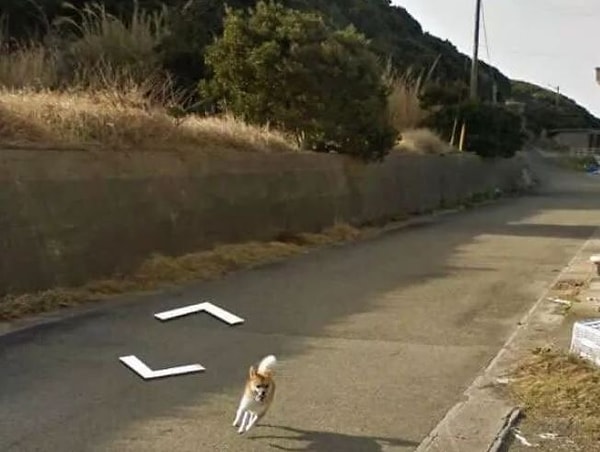 12. И куда он бежит такой счастливый?