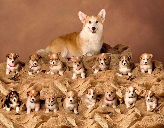 11.