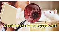 Tehlike Cebimizde: Araştırmalar, Cep Telefonlarının Yaydığı Radyasyonla Kanser Arasında Bir Bağlantı Olduğunu Söylüyor!