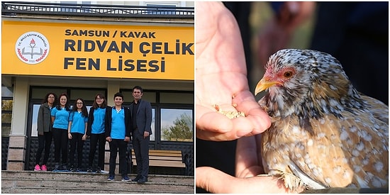 Okul İdaresi, Tavuklarından Ayrılmak İstemeyen Öğrenci İçin Bahçeye Kümes Yaptırdı