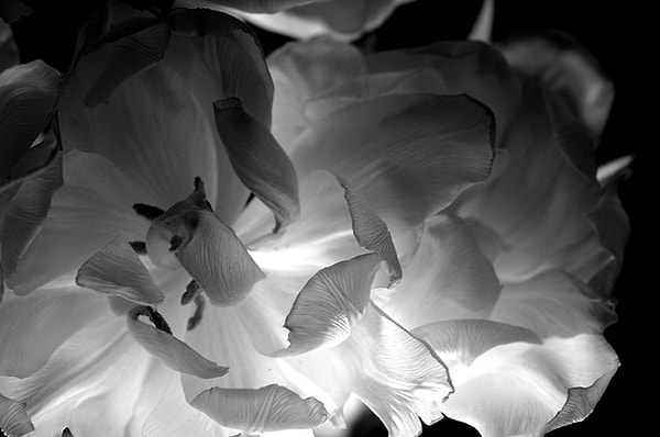 7. Какая картинка вызывает у вас чувство смятения?