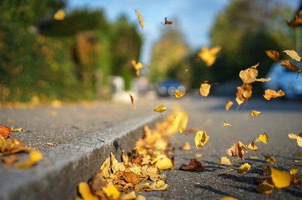 6. Почему дует ветер?