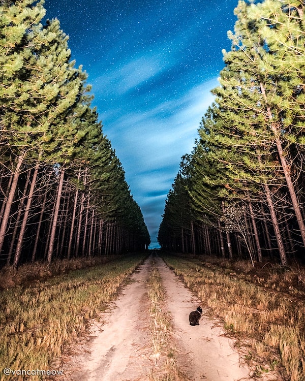 Может показаться, что мы немного одиноки, но на самом деле это не так - мы есть друг у друга, и это здорово!