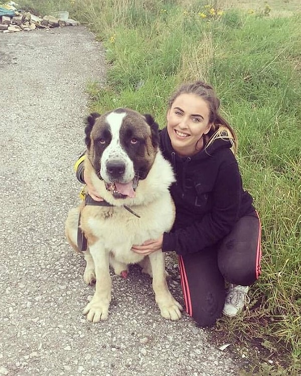 2. 8-летний пес уже был мертв к тому времени, когда его обнаружил персонал приюта.