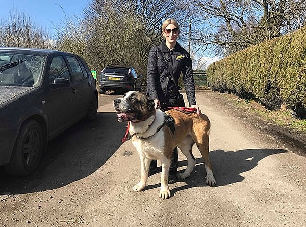 7. «Они просто убили Винстона. Всю свою жизнь он страдал от рук людей. Это был самый верный пес», — рассказывает Эмма.