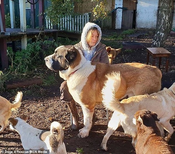 5. Владелица приюта Эмма Биллингтон отметила, что пес не переносил громкие звуки.