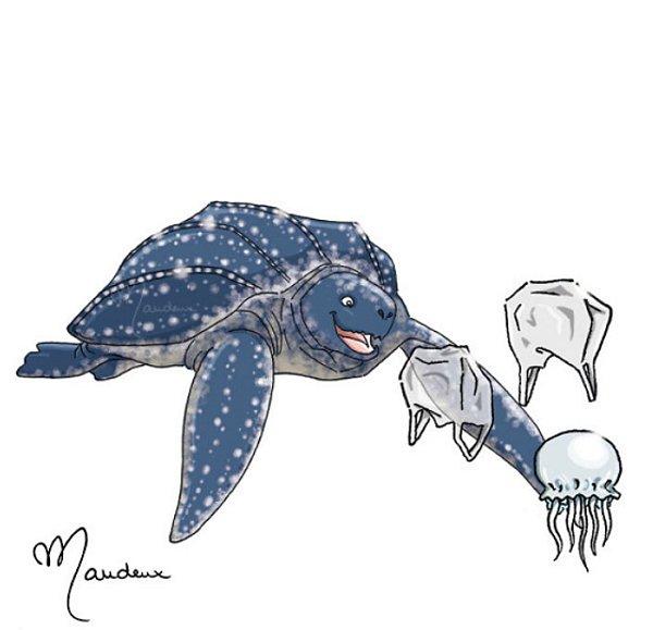 7. Deniz kaplumbağaları plastikleri karıştırabilirler.