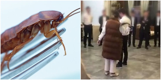 Çin'de Çalışanlarına Ceza Olarak 'Hamam Böceği' Yedirip 'İdrar' İçiren Üç Yönetici Hapis Cezasına Çarptırıldı
