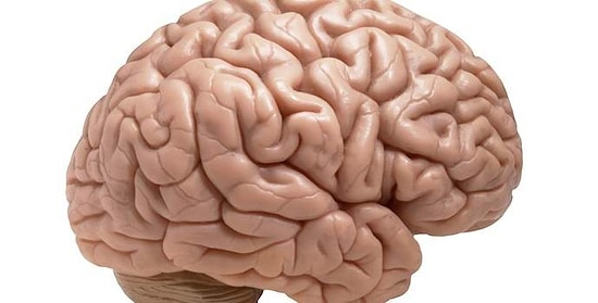 Тест, который прочтет ваши мысли