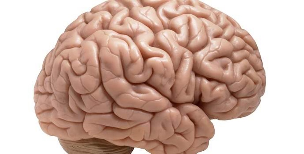 Тест, который прочтет ваши мысли