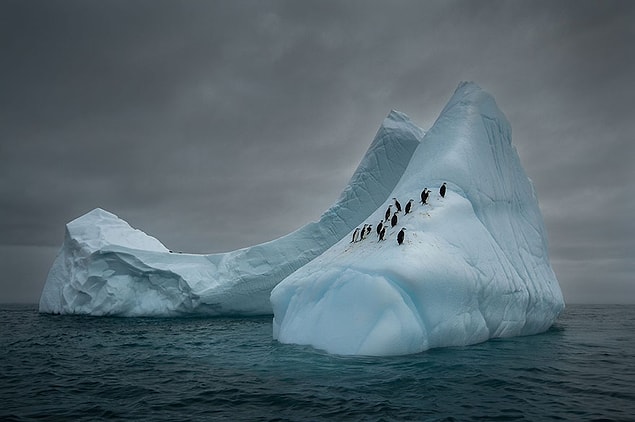 30. Travelers, Antarctica (3rd Place In The Beauty Of The Nature Category)