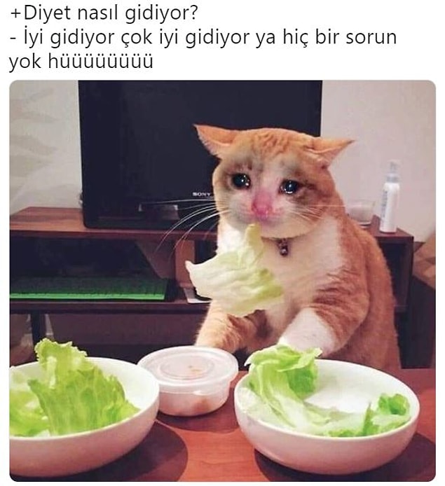 11. Bu şekilde yeşillik yiyoruz her gün...