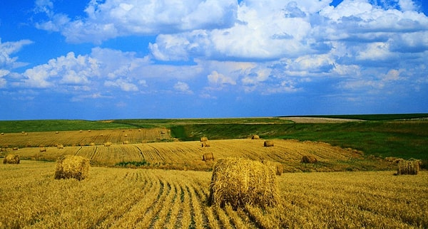 «Правительство хочет, чтобы семьи имели больше детей и могли использовать районы, пригодные для сельского хозяйства», - сказал министр сельского хозяйства Джан Марко.