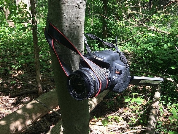 15. Нерешаемых проблем просто не существует! Вот вам подтверждение