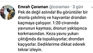 Drone Çekimlerinin Doğaya Etkisi