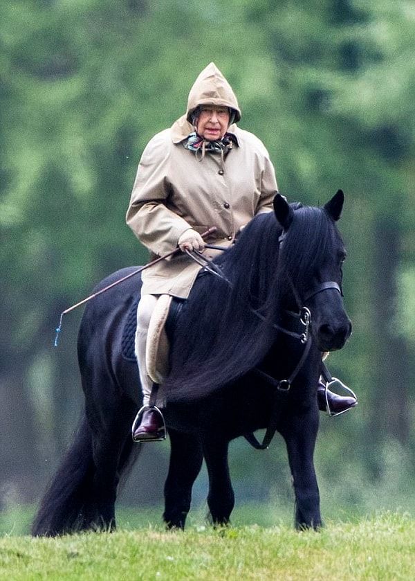 Такая новость, конечно, не могла не порадовать британцев, ведь она говорит о том, что здоровье у королевы отменное и серьезных перемен в ближайшее время не предвидится.