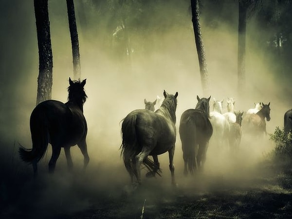 6. Что скажете?