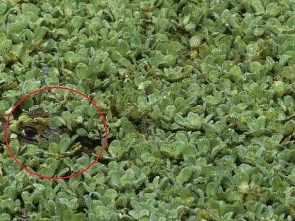 Да ладно вам, это было совсем легко!