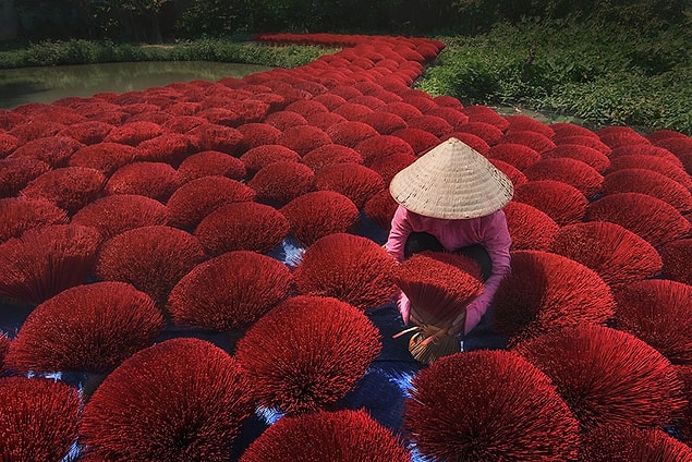 19. Talih Yolu, Vietnam (Renk Sıçraması kategorisi Mansiyon Ödülü)