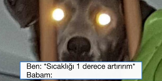 Geçtiğimiz Hafta Yaptıkları Paylaşımlarla Eğlencenin Dibine Vuran 17 Uluslararası Mizahşör