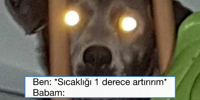 Geçtiğimiz Hafta Yaptıkları Paylaşımlarla Eğlencenin Dibine Vuran 17 Uluslararası Mizahşör