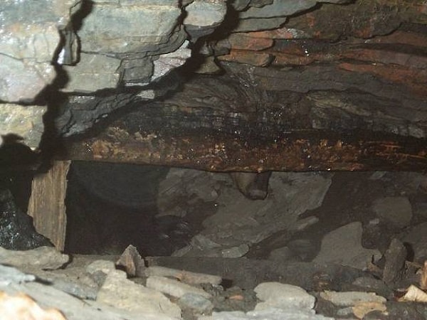 6. «В детстве я и двое моих двоюродных братьев пробрались в берлогу, чтобы заснять на видео спящих медведей. Медведи не спали… Наши родители уничтожили запись, чтобы больше никому не пришло в голову повторить такую глупость, но это фото осталось»