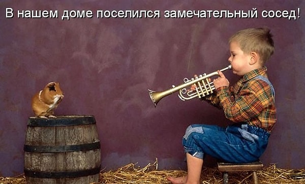 8. Из репертуара какой певицы песня "Замечательный сосед"?