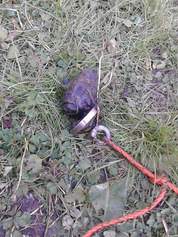 16. Рыбак магнитом выудил гранату времен Первой мировой войны, Бельгия