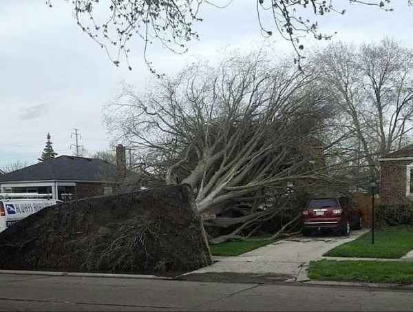 3. Сюрприз! Правда, приятным его не назовешь