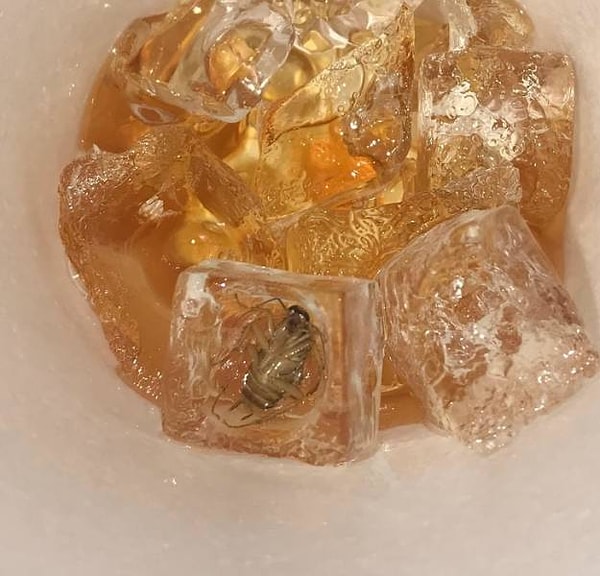 20. «Мой друг и я тут же покинули это место»