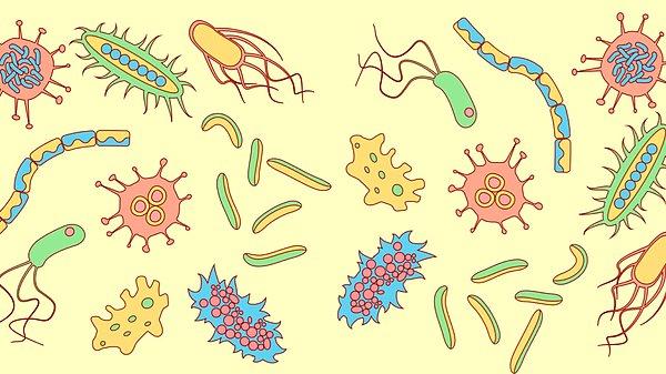 Bilim insanları, bizi biz yapan şeyin kendi DNA'mız ile vücudumuzdaki mikropların DNA'sının kombinasyonu olduğunu söylüyor.