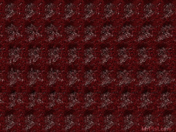 1. Что вы здесь видите?