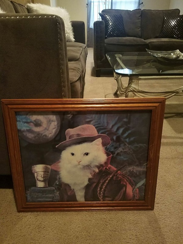 2. "Когда твой парень помогает с выбором картины для гостиной"