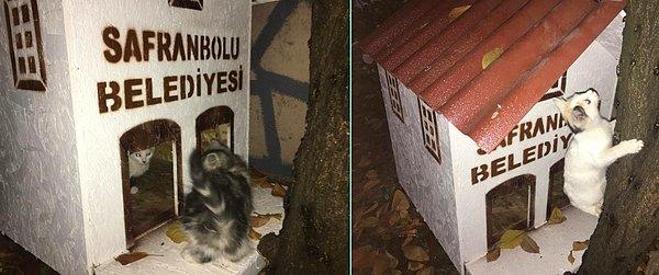 9. Safranbolu Belediyesi, sahipsiz hayvanların sokaklarda güven içinde yaşamaları için farkındalık oluşturmak adına pek çok mahalleye "’Kedi Evleri" konumlandırıyor.