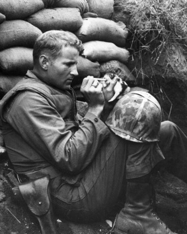 17. Kore Savaşı sırasında cephede bulduğu öksüz kedi yavrusunu besleyen bir asker.
