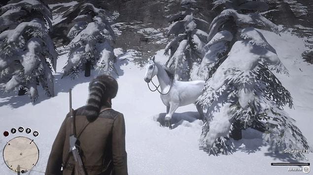 4. "After 1.5 hours of tracking I finally found that horse..."