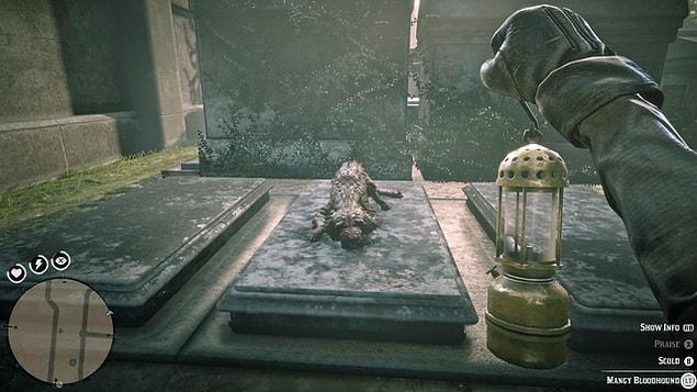 6. "Found this sad little guy lying down on his masters grave :("