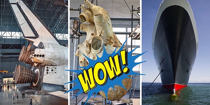 Размер имеет значение: 19 реальных фотографий, которые показывают, какие мы букашки в этом огромном мире