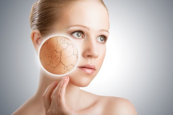 1. Как называется наружный слой кожи?