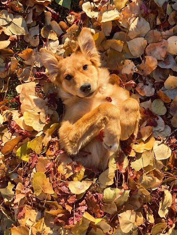 8. Осень пришла! Ура!!!