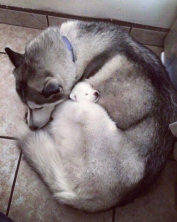 14. Как же это мило!