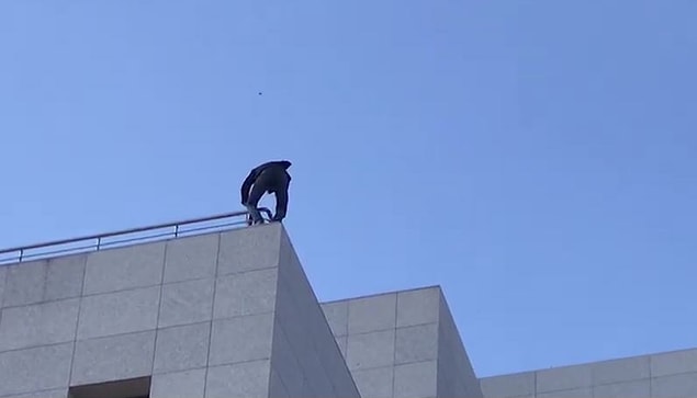 Çok sayıda Meclis polisi ve sağlık ekipleri olay yerinde önlem alırken itfaiye ekipleri iki adet hava yastığı açtı.