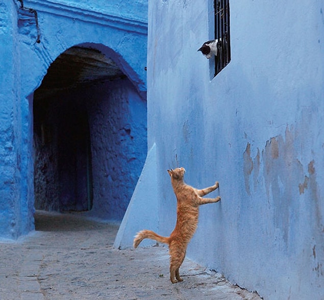 22. "Romeo ve Juliet"