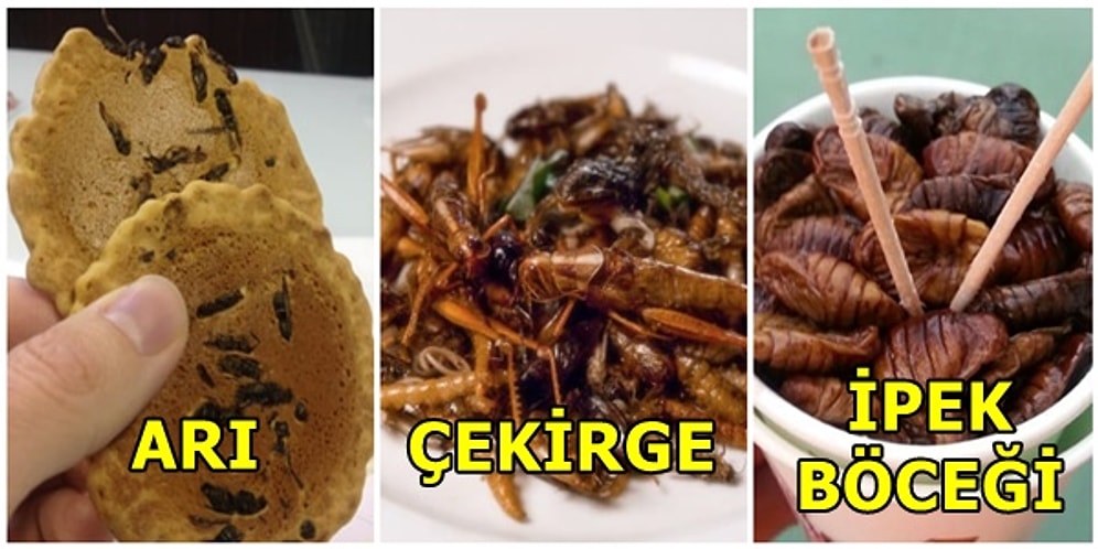 Elalem Çatır Çutur Yiyor! Belki de Ön Yargıları Bırakıp Tatmamız Gereken 10 Böcekli Lezzet
