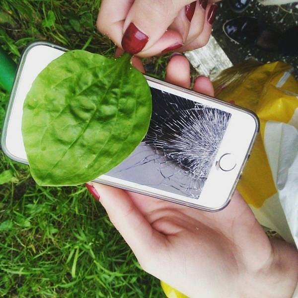 12. Последняя надежда "исцелить" iPhone