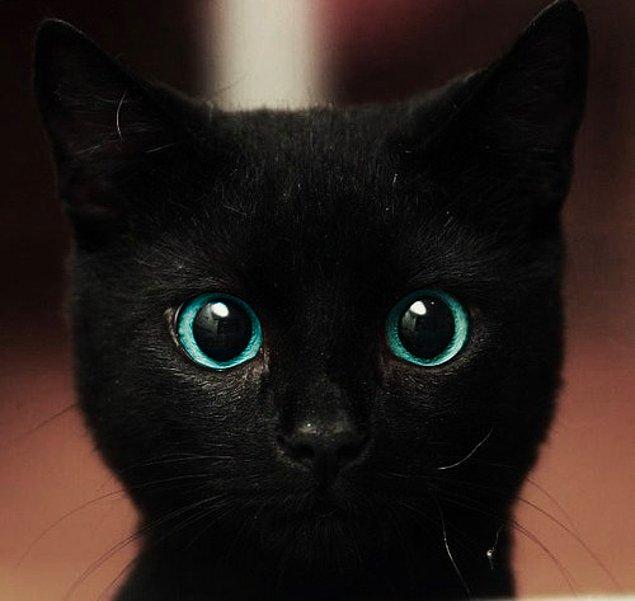 4. Peki, batıl inançların var mı? Mesela kara kediler hakkında ne düşünüyorsun?