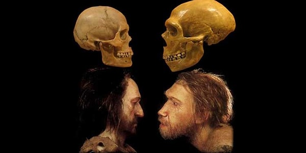 5. Каково основное правило теории эволюции?