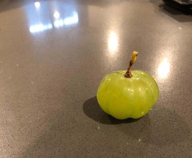 20. "This grape that looks like a pumpkin"